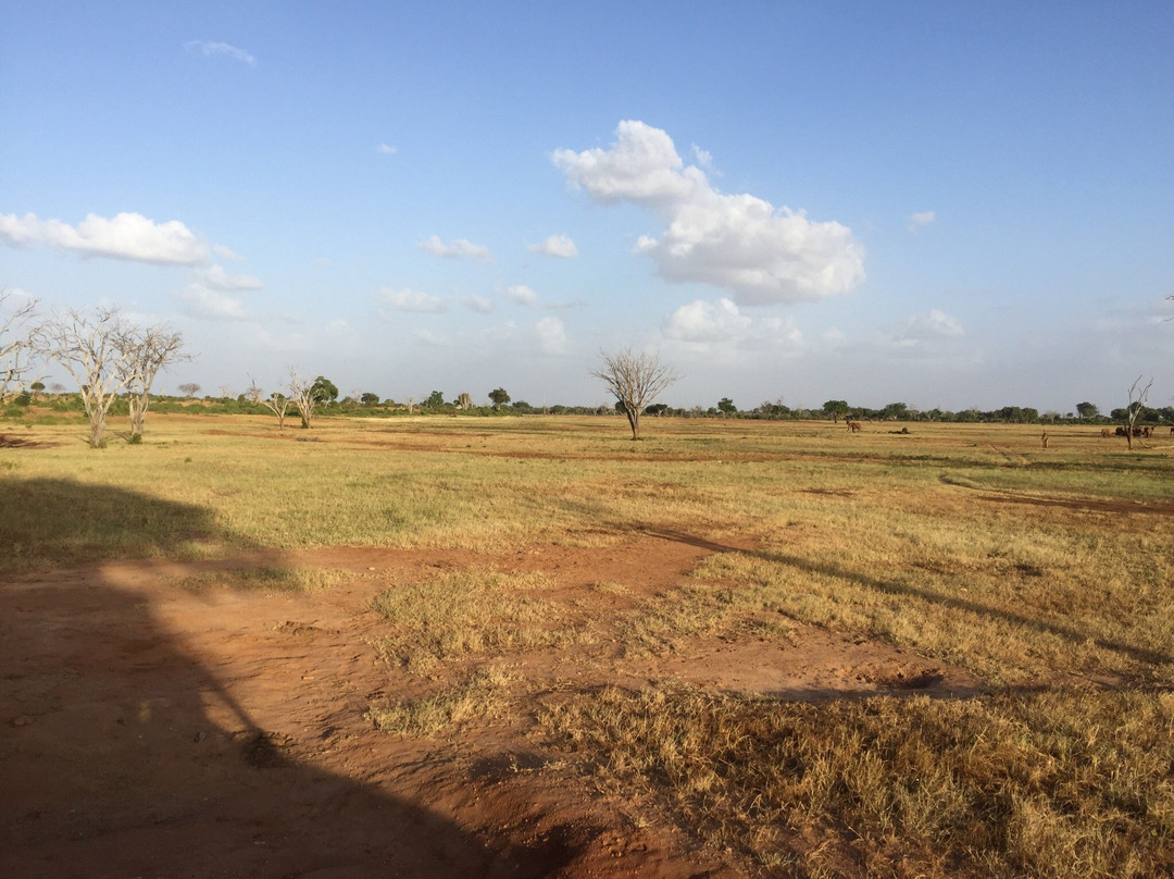 Kenya Safari Explorer-马林地必去景点