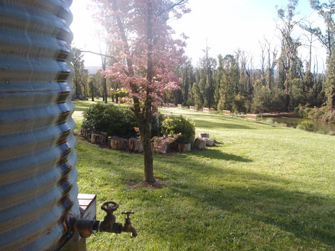 萨拉丁住宿加早餐旅馆主图