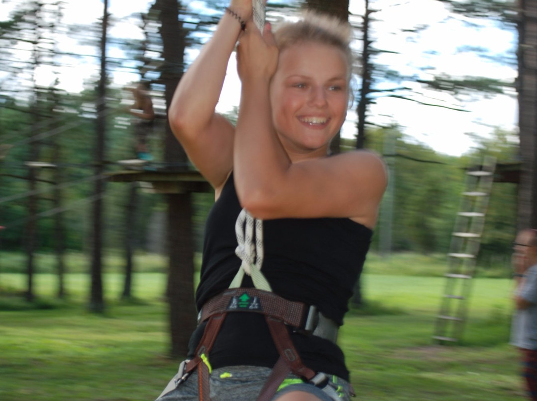 Hallikivi Adventure Park-Saaremaa必去景点