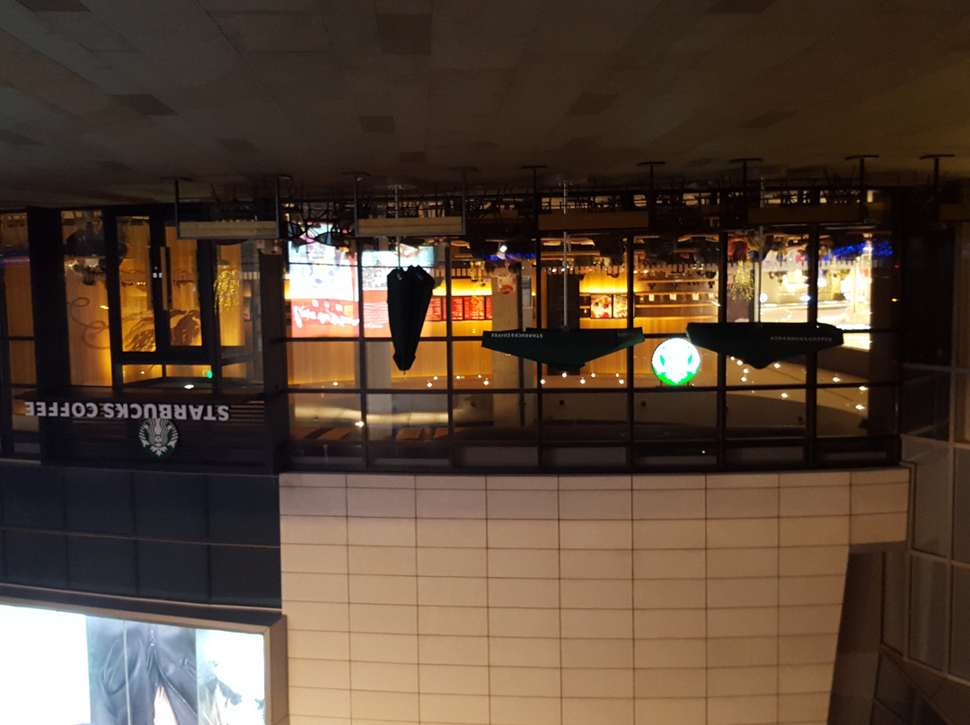 日照市餐馆和美食-星巴克(422店)