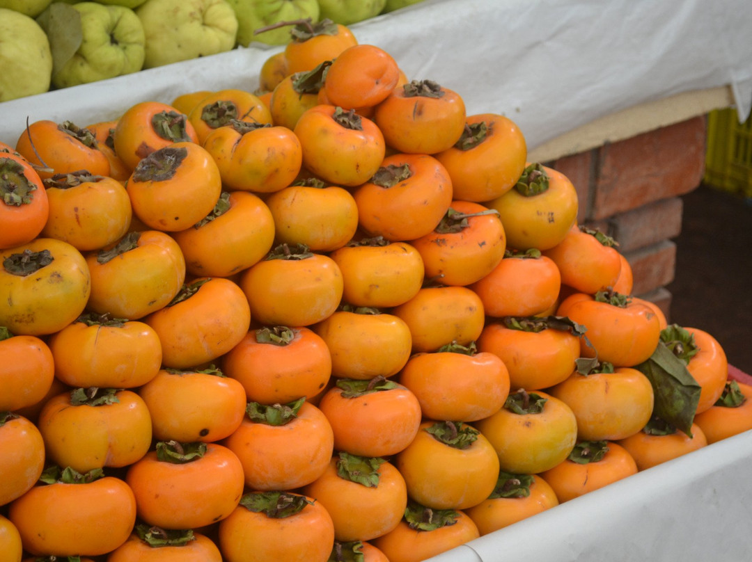 Marché Centrale de La Marsa-拉玛莎必去景点