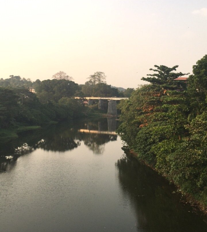 Suspension Bridge-Thenmala必去景点