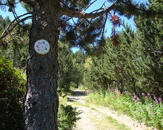 Circular de la Parroquia de Canillo