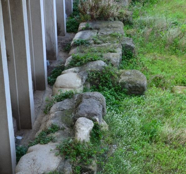Il Parco Archeologico delle Mura Greche-雷焦卡拉布里亚必去景点