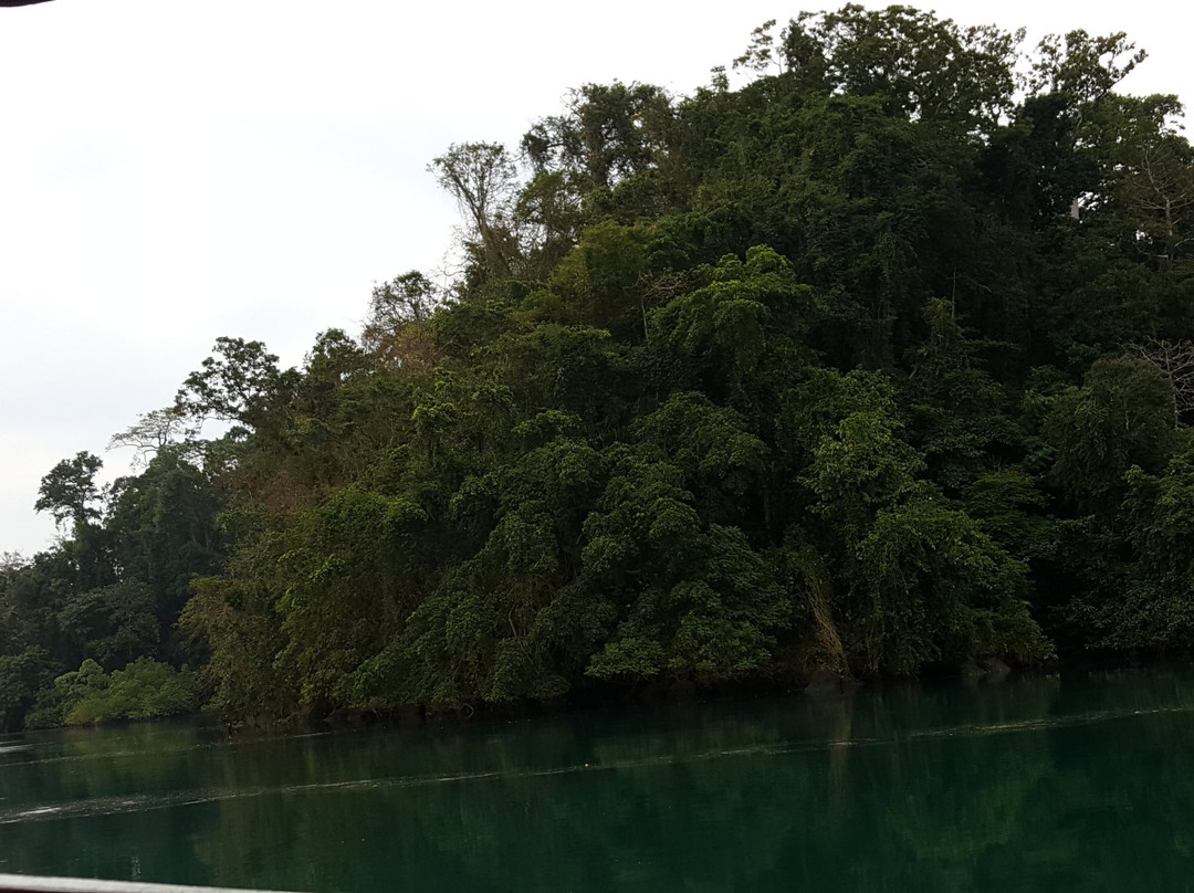 Mahatma Gandhi Marine National Park景点图片