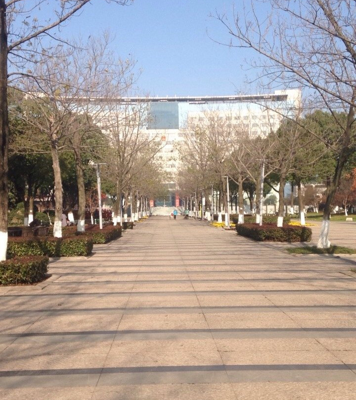 青枫公园-常州市必去景点