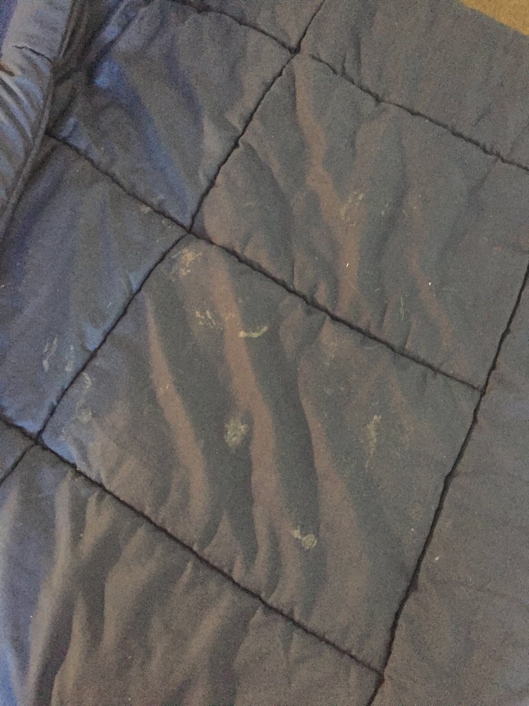 Benson Court Motel-官方