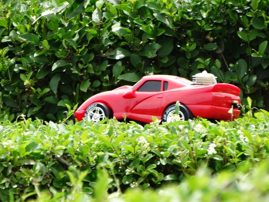 Westbury Maze & Cafe景点图片