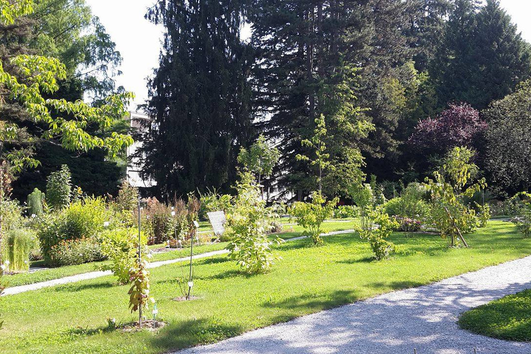 Jardin botanique de l'Université de Fribourg-弗里堡必去景点