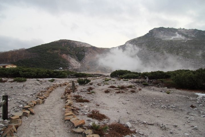 Tsutsujigahara Nature Trail景点图片