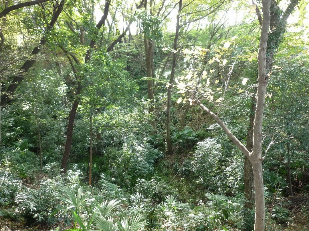 Chikumazawa Kobushi Village-三芳町必去景点