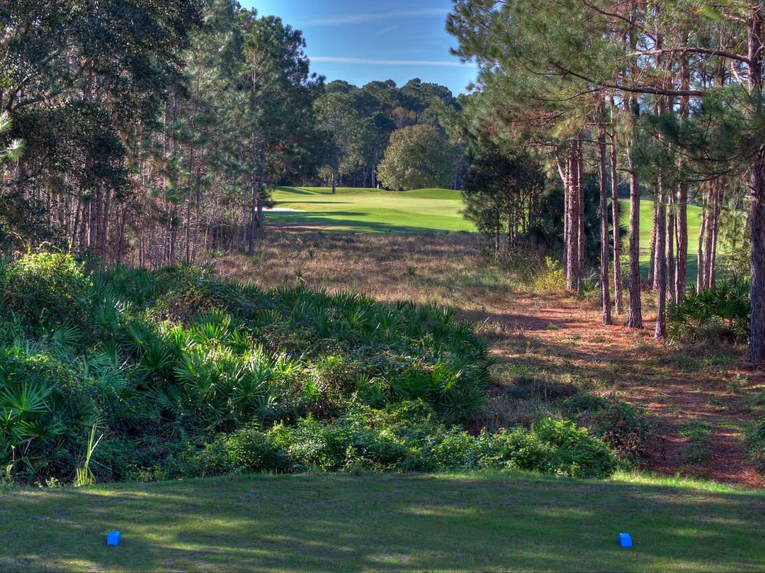 Cypress Head Golf Club景点图片