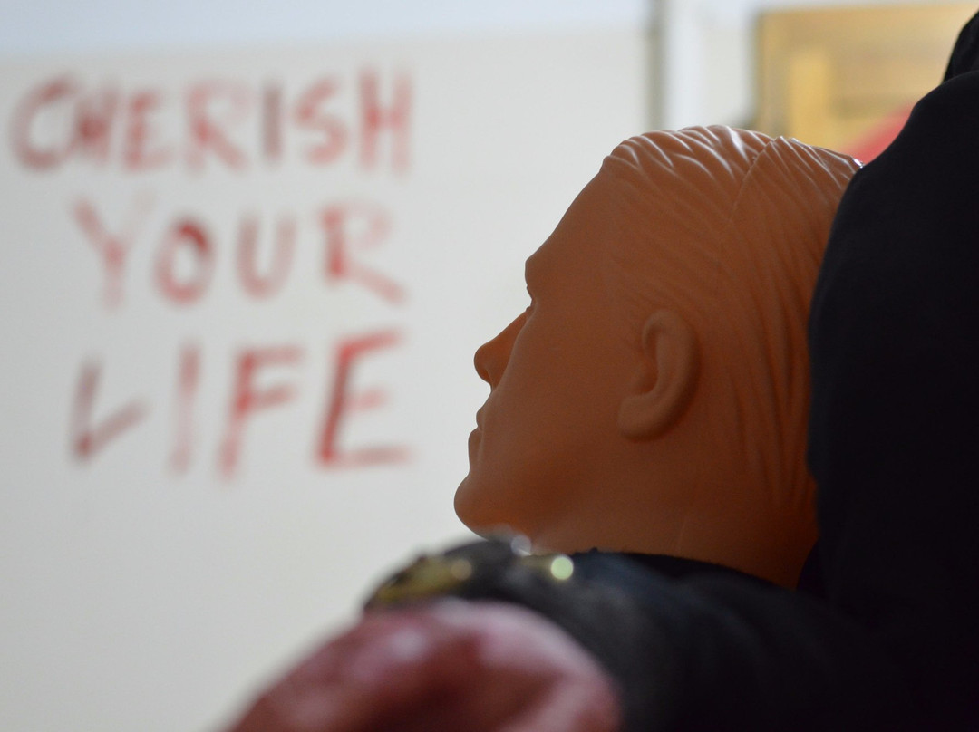 AlcaTraps-热舒夫必去景点