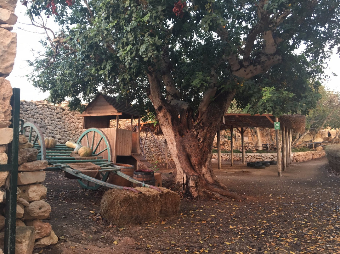 Koperattiva Rurali Manikata-梅雷赫必去景点