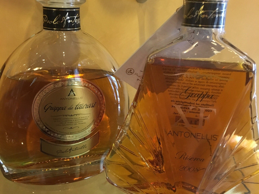 Non Solo Vino景点图片