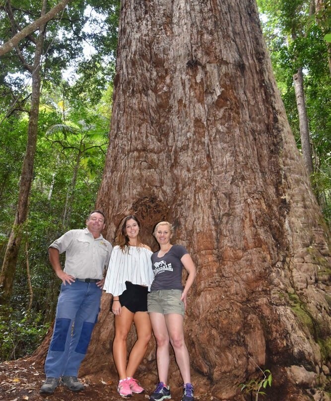 Australian Offroad Academy-弗雷泽岛必去景点