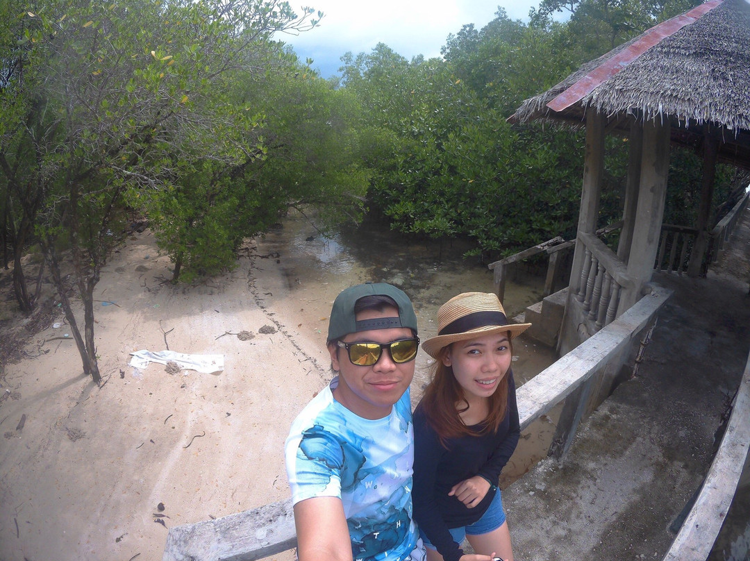 Talabong Mangrove Park景点图片