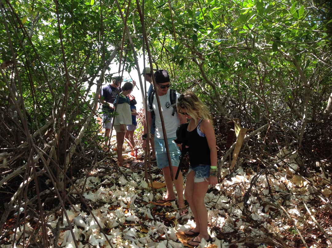 Scoothtooth Eco-Tours and Rentals-Anegada必去景点