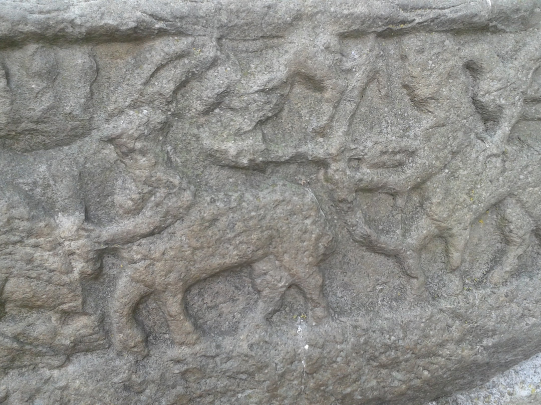 Ancient East Boyne Tours-凯尔斯镇必去景点