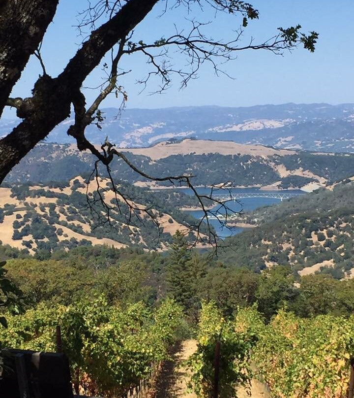 Gustafson Family Vineyard景点图片