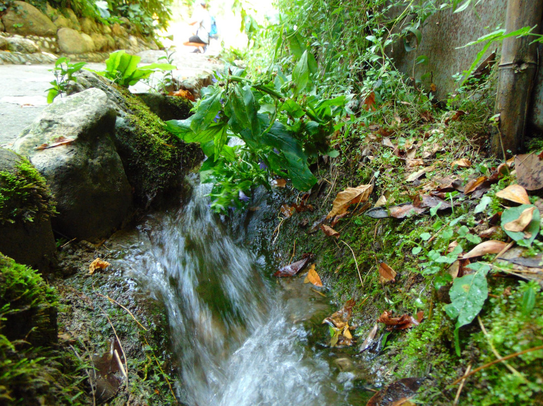 Orto Botanico di Toscolano Maderno-Toscolano-Maderno必去景点