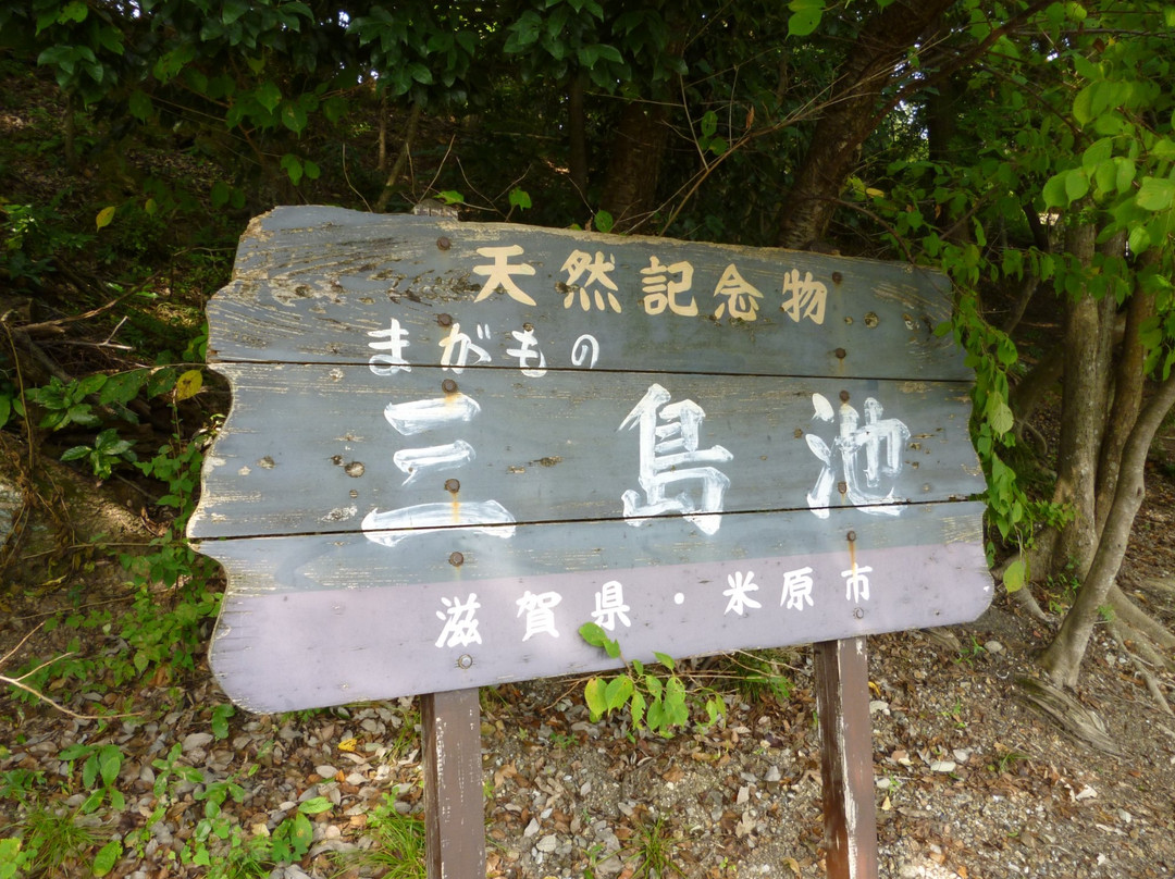 Mishima Pond-米原市必去景点