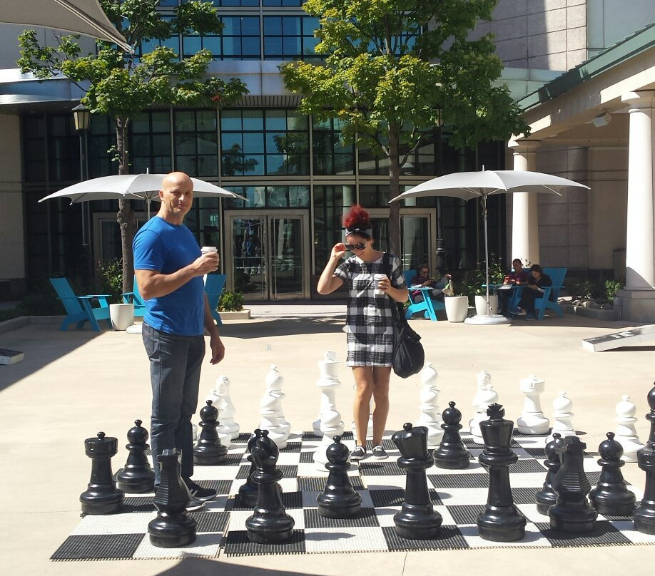 Westfield Old Orchard Center-斯科基必去景点