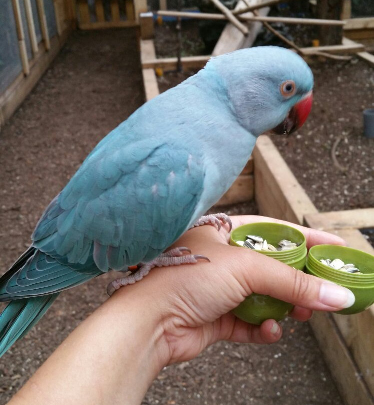 Dschungelhaus in Tirol-Terfens必去景点