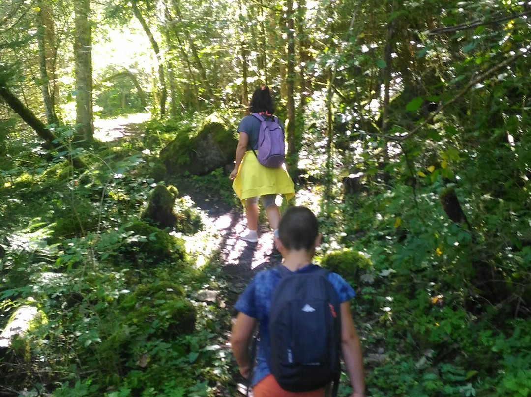 Benni Raich Brucke-Arzl im Pitztal必去景点