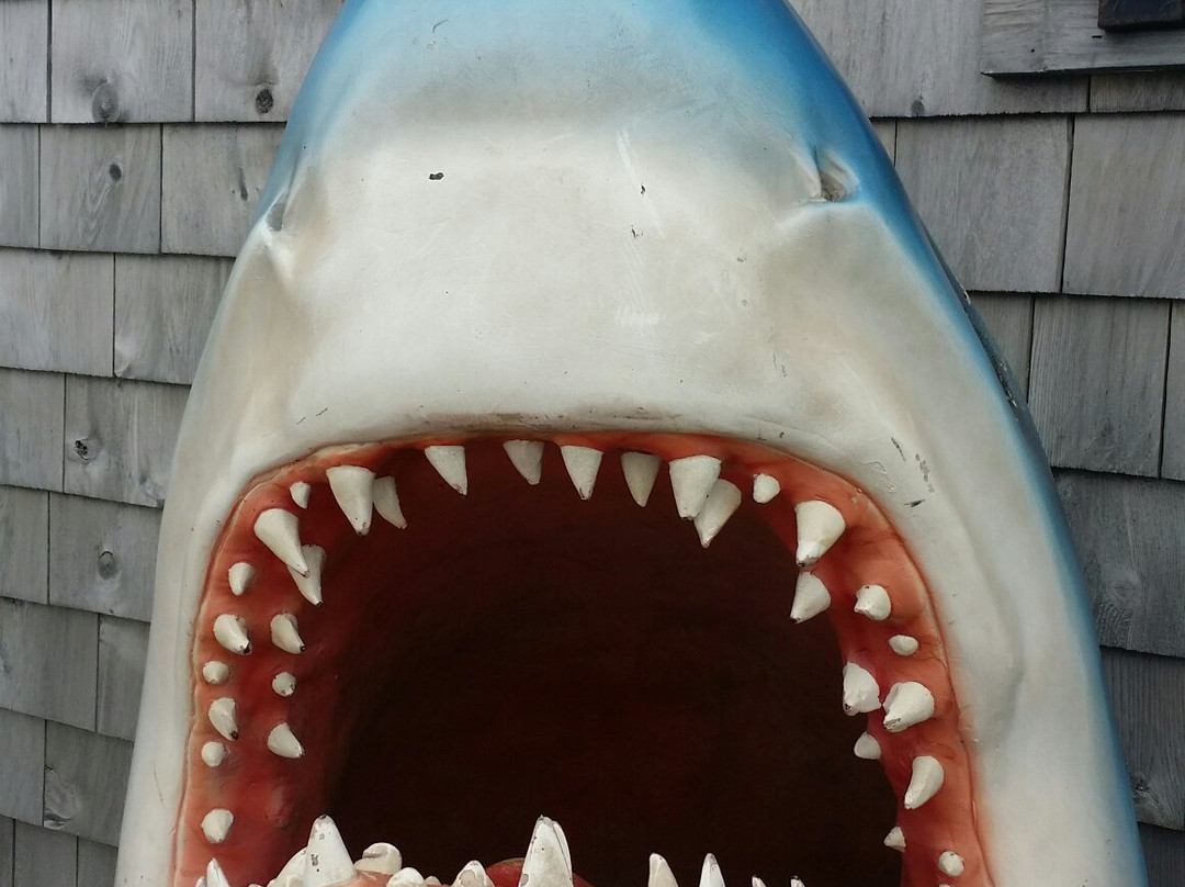 Rotary Park-希迪亚克必去景点