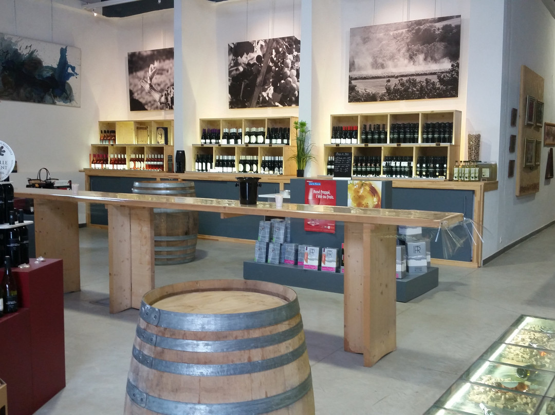 Vignerons Terroirs Terres Romanes-Vinca必去景点