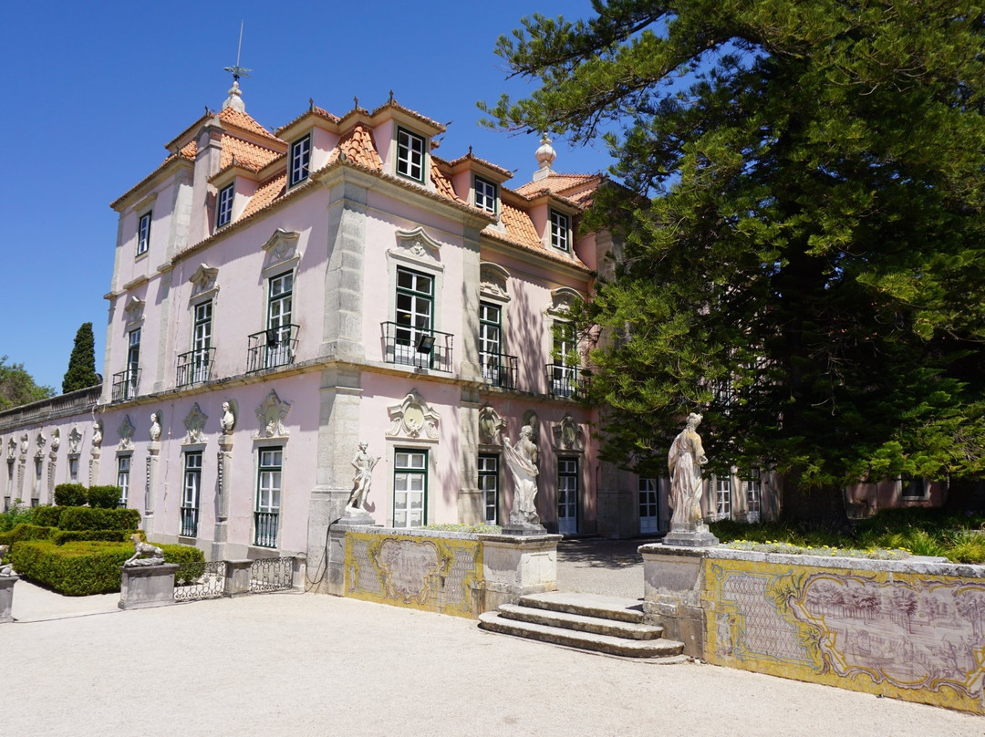 Palácio do Marquês de Pombal景点图片