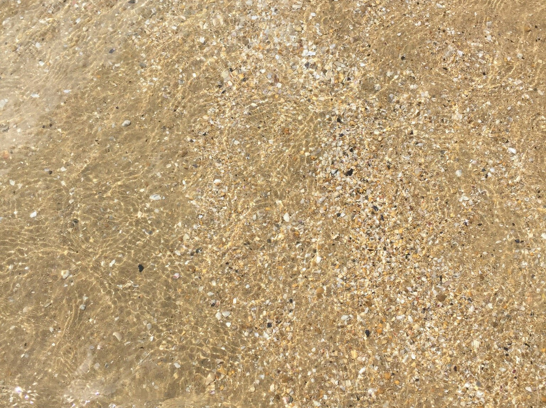 Lido Marlin-Silvi Marina必去景点