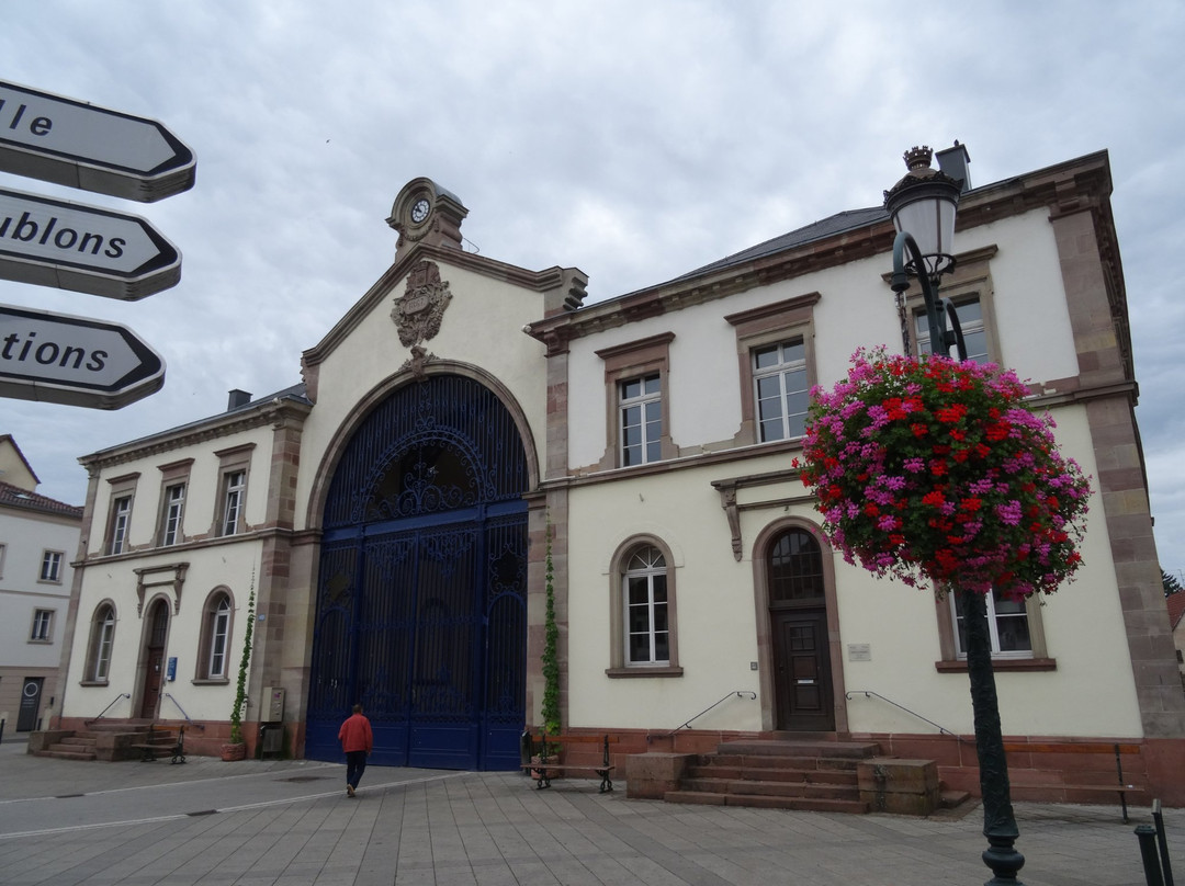 Halle aux Houblons-Haguenau必去景点