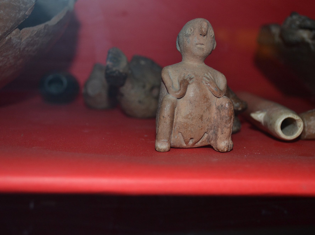 Museo Arqueologico Regional Inca Huasi景点图片