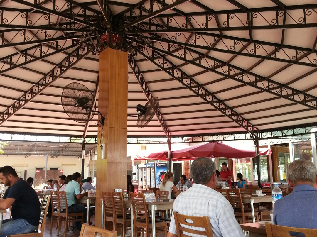 阿克希萨尔餐馆和美食-Dayioglu Muhtarin Yeri