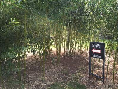 Golf Gardens景点图片