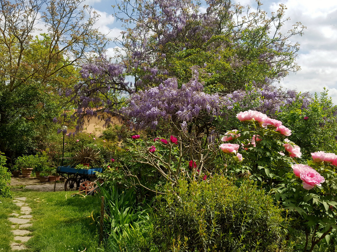 B&B Al Giardino di Rosi主图