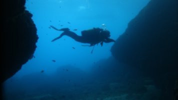 Ibiza Dive Experience景点图片