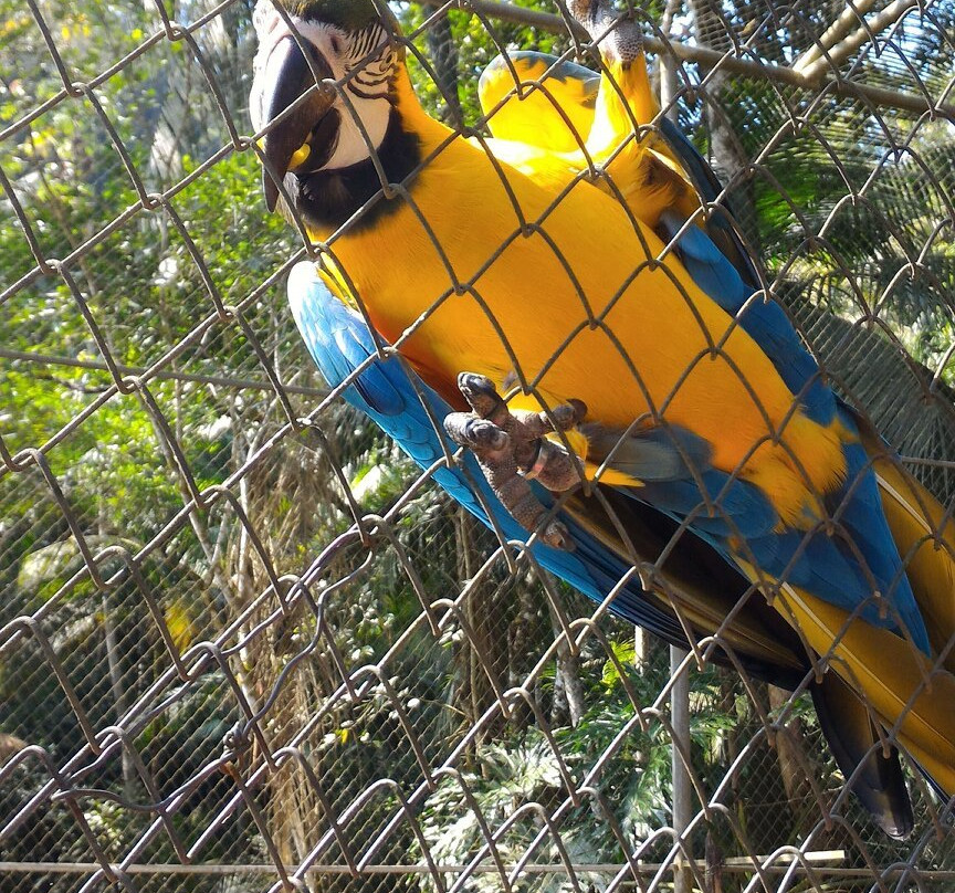 Parque Natural das Aves景点图片