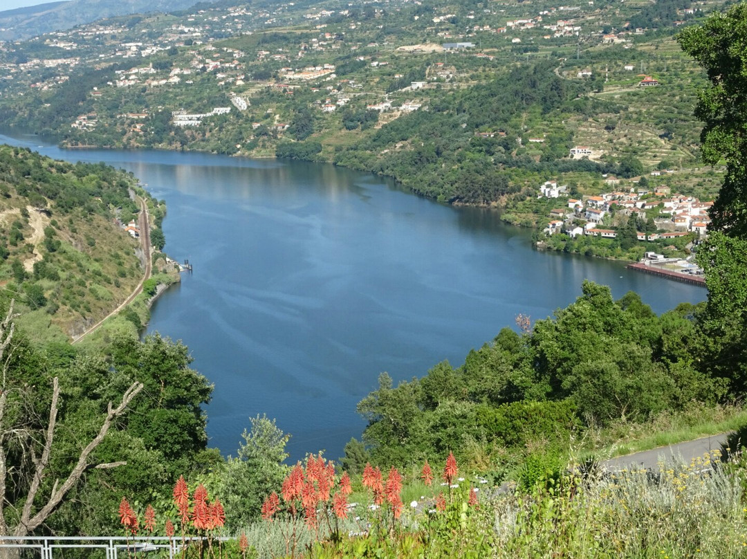 Quinta das Aguincheiras主图
