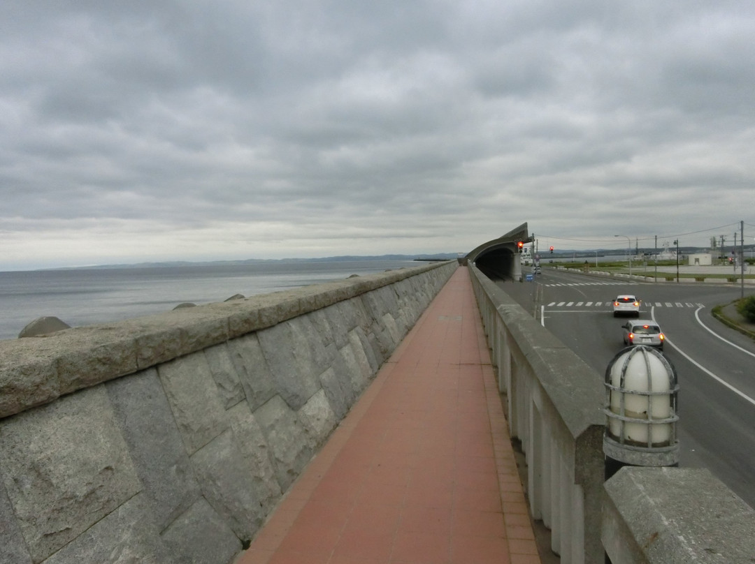 Shiosai Promenade-稚内市必去景点