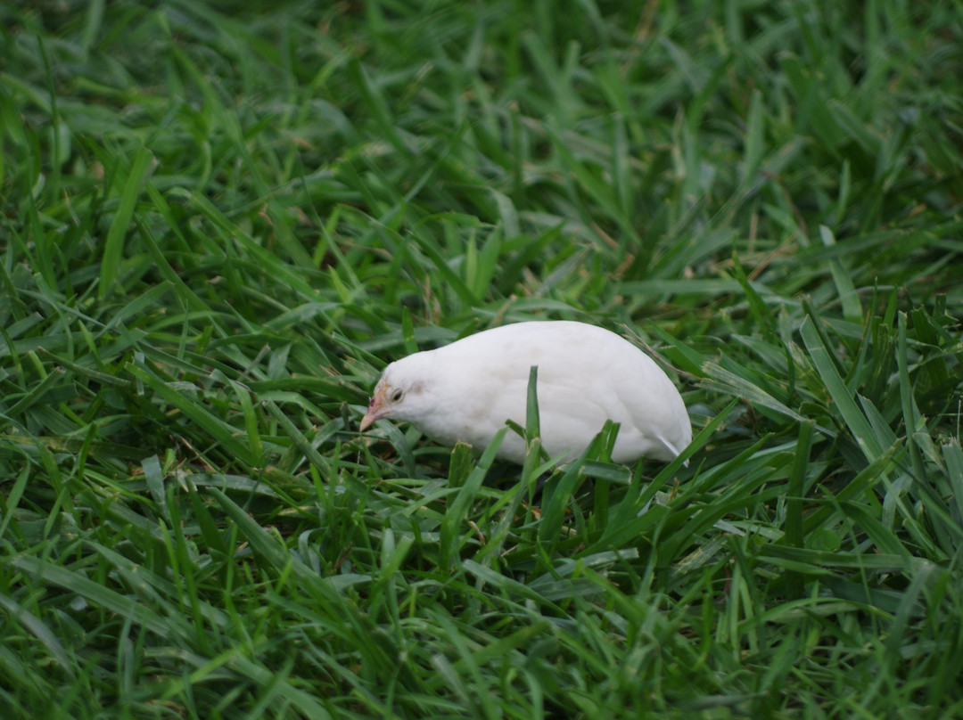 TPA Park-Frankfort必去景点