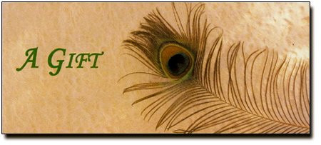 Essential Bodywork-努萨维尔必去景点