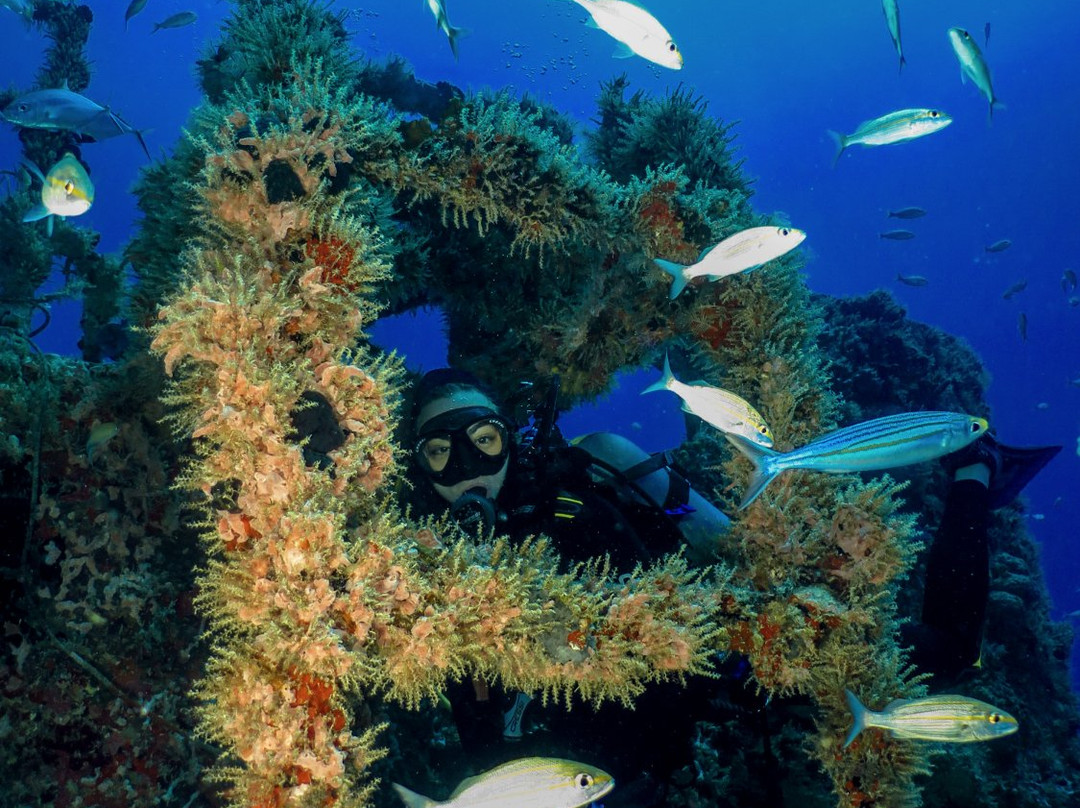 Manatus Mexico-从莫雷洛斯港必去景点