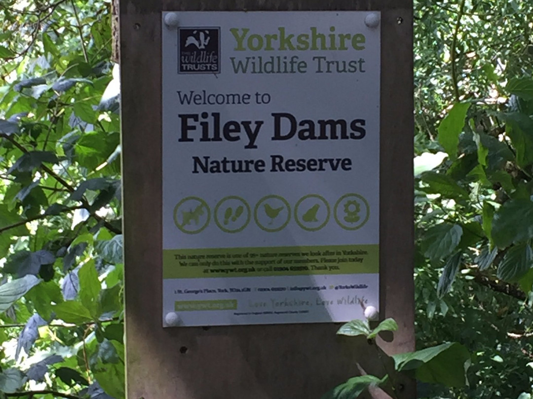 Filey Dams Nature Reserve景点图片