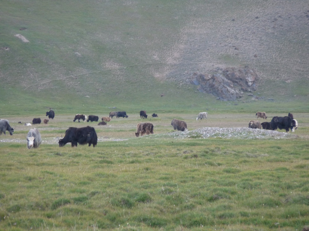 Alay Valley-Osh必去景点