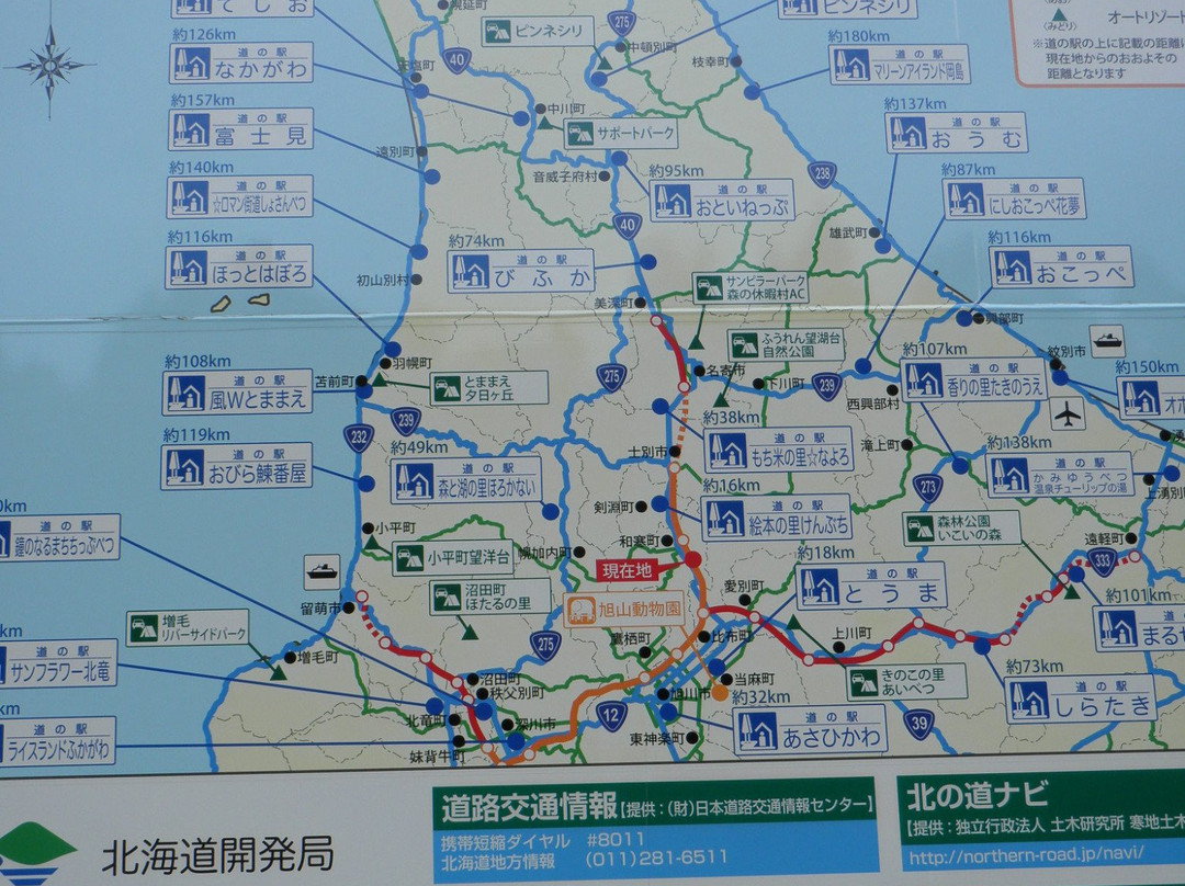 Yume Road Sakura Shiokari Park-和寒町必去景点