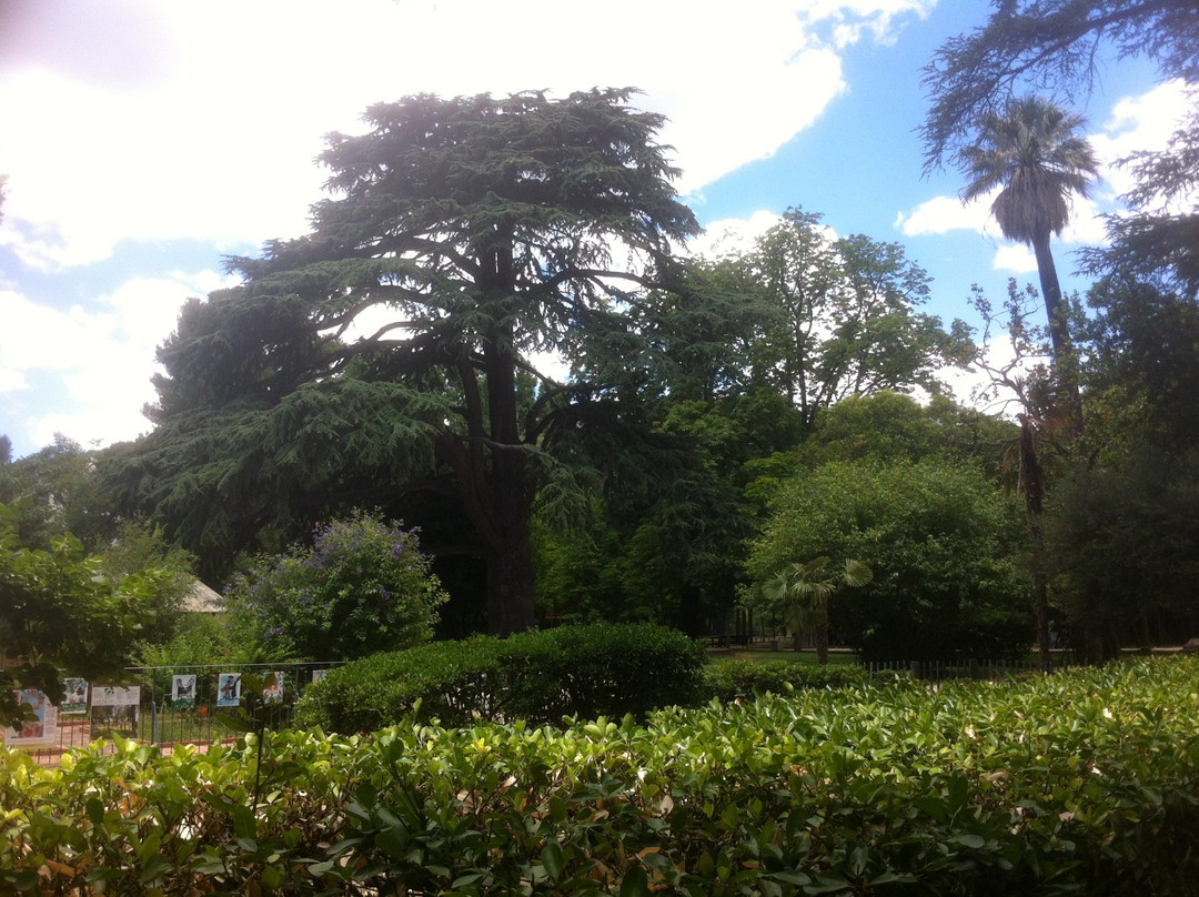 Jardin du Las - Parc Burnet景点图片