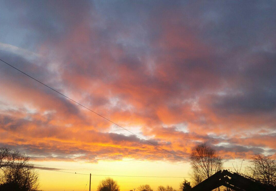 Maer酒店住宿-Slindon House Farm